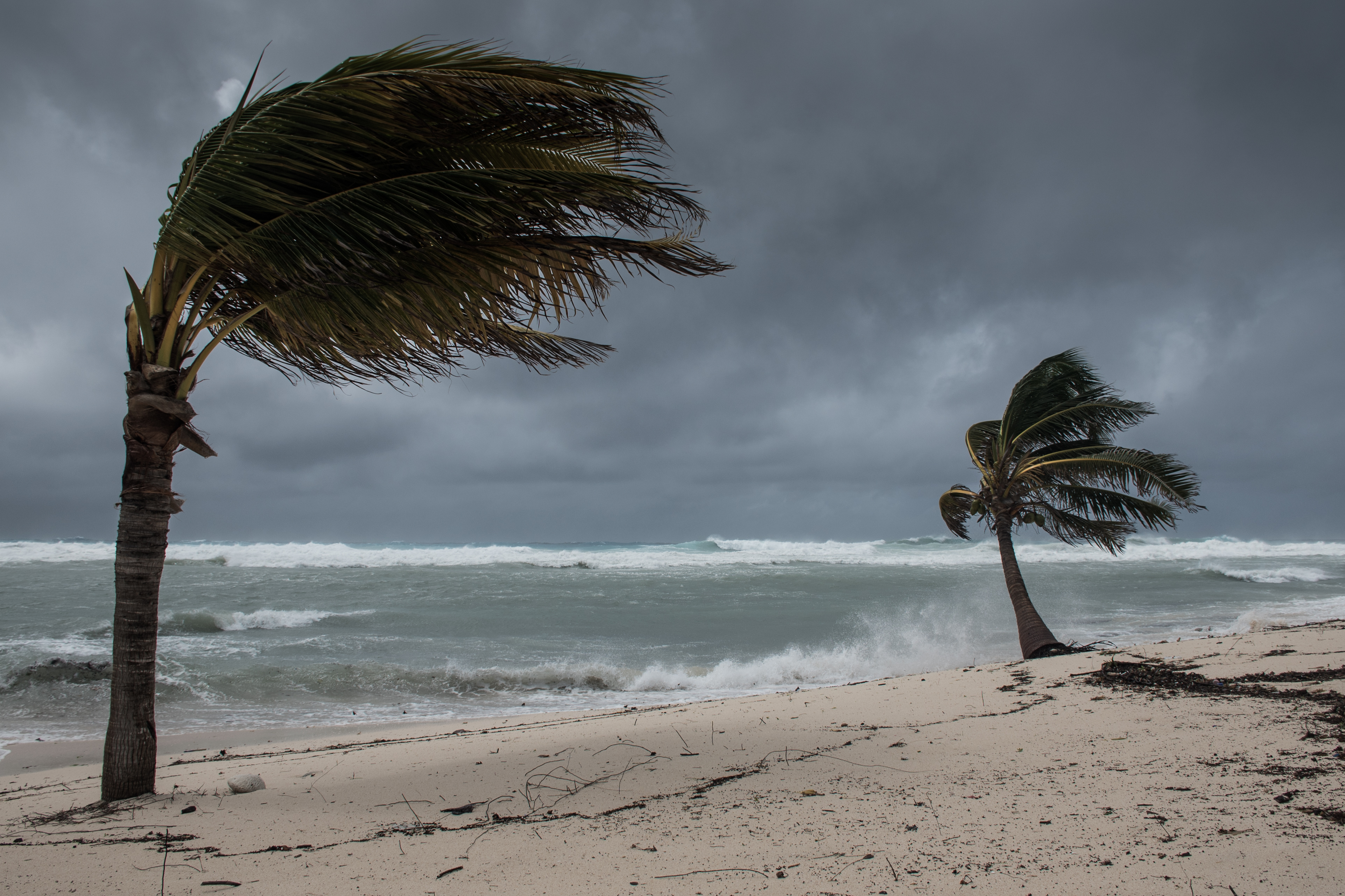 Hurricane Safety Tips