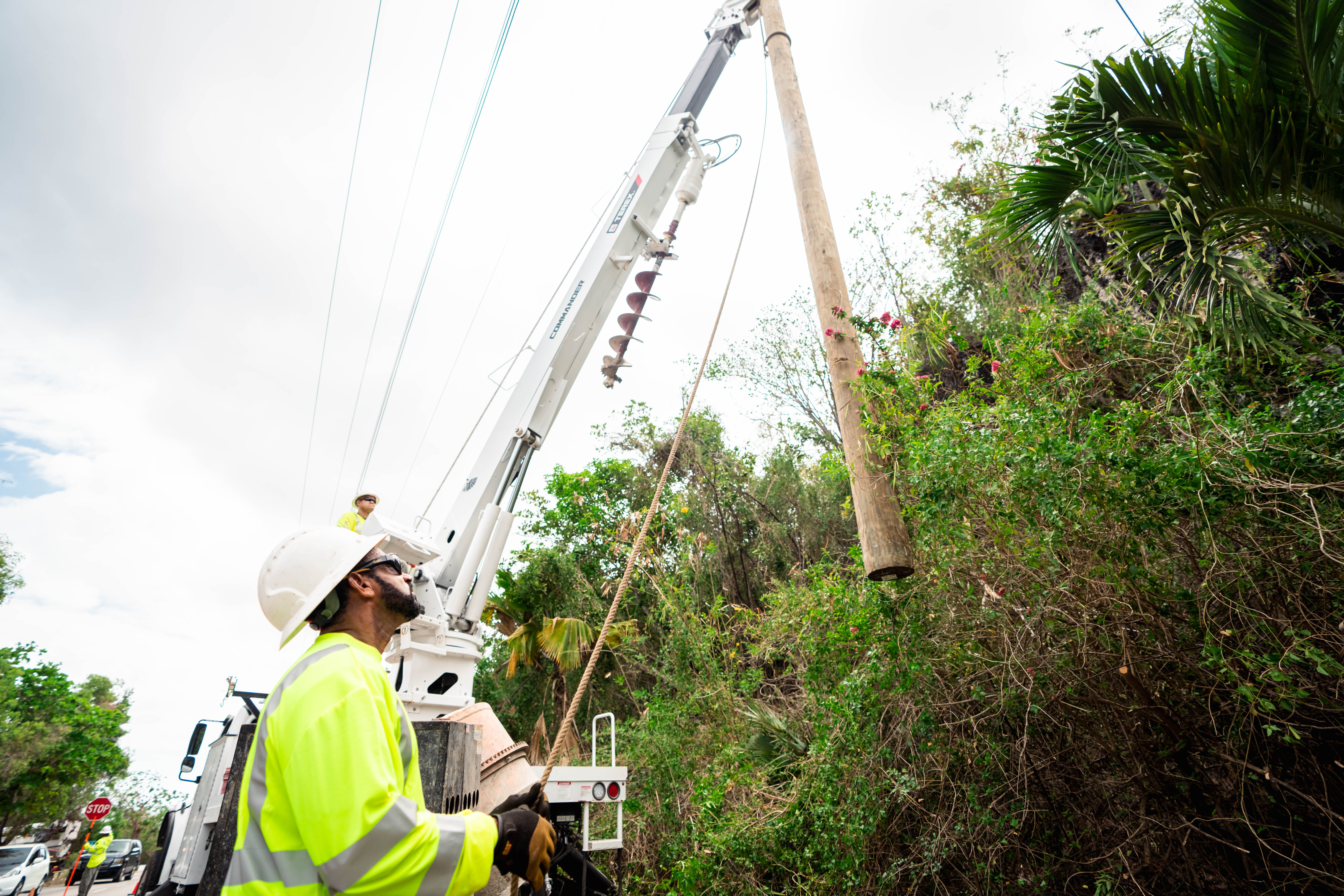 Pole replacement programme 
